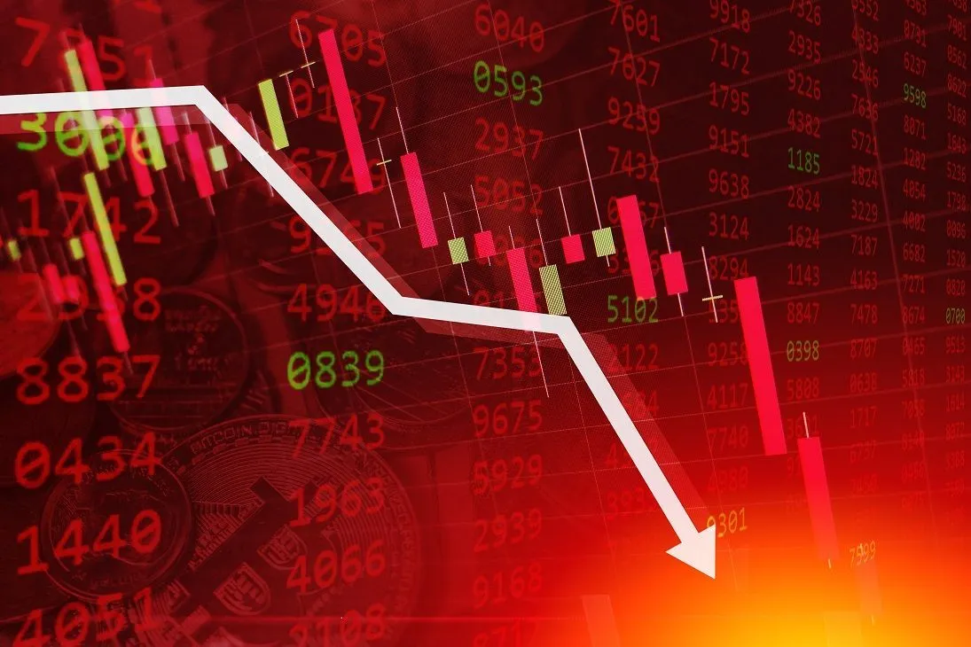 Who Insures Your Investment in the Stock Market
